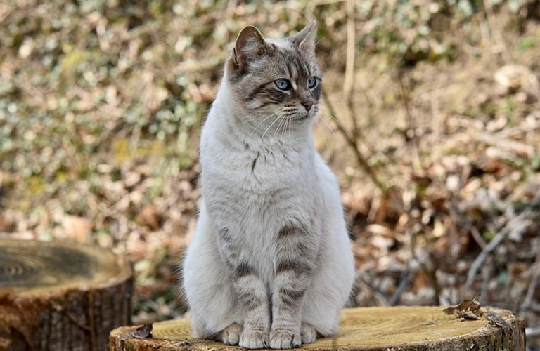猫背のセルフチェック法と簡単な対策ストレッチ｜銀座tONE BY tONE